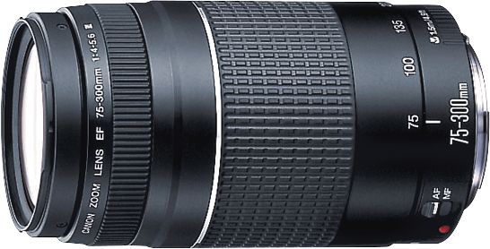 Canon - EF 75-300mm f/4-5.6 III Telephoto Zoom Lens - Multi - Image 2