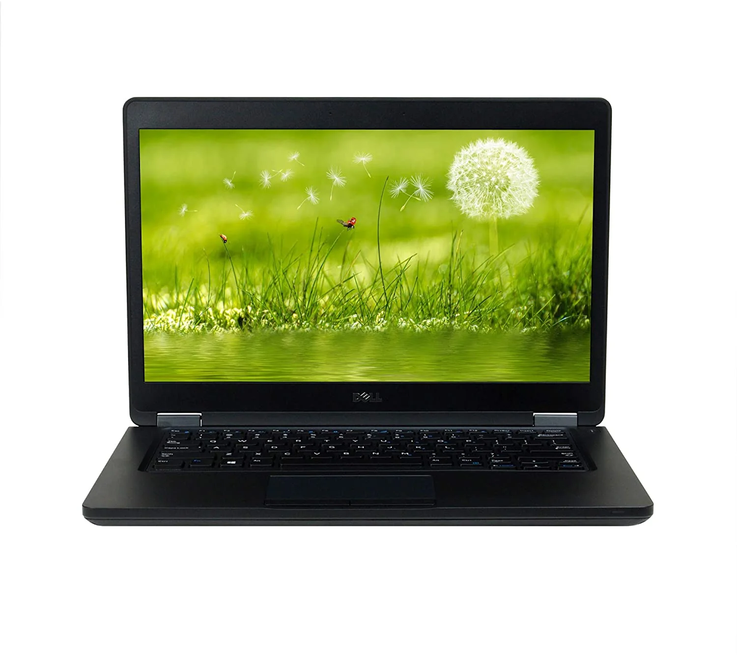 Dell Latitude 5480 14" Intel Core i5 6200U / 4GB RAM / 500GB SATA / Win 10 - Image 2