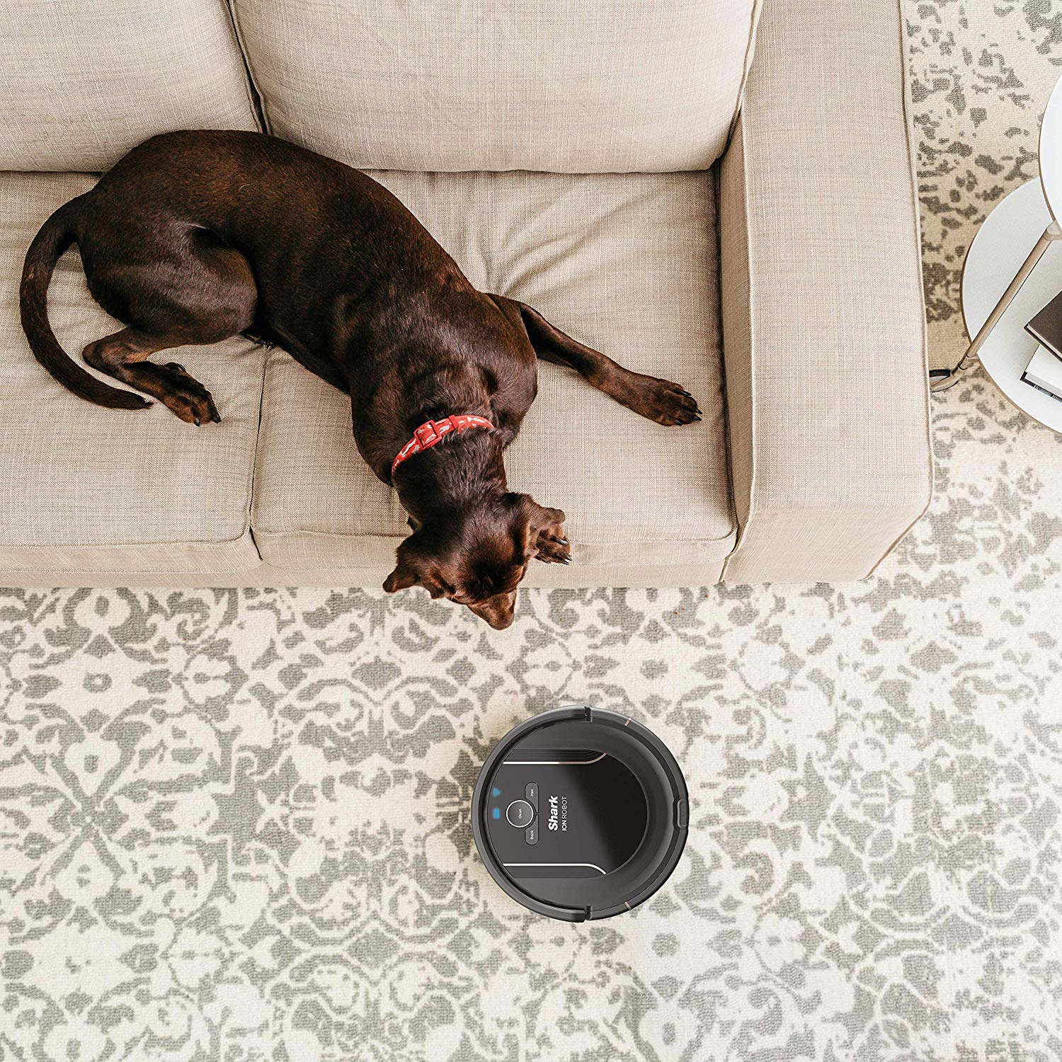 SHARK ION Robot Vacuum R85 WiFi-Connected with Powerful Suction, XL Dust Bin, Self-Cleaning Brushroll and Voice Control with Alexa or Google Assistant (RV850) - Image 3
