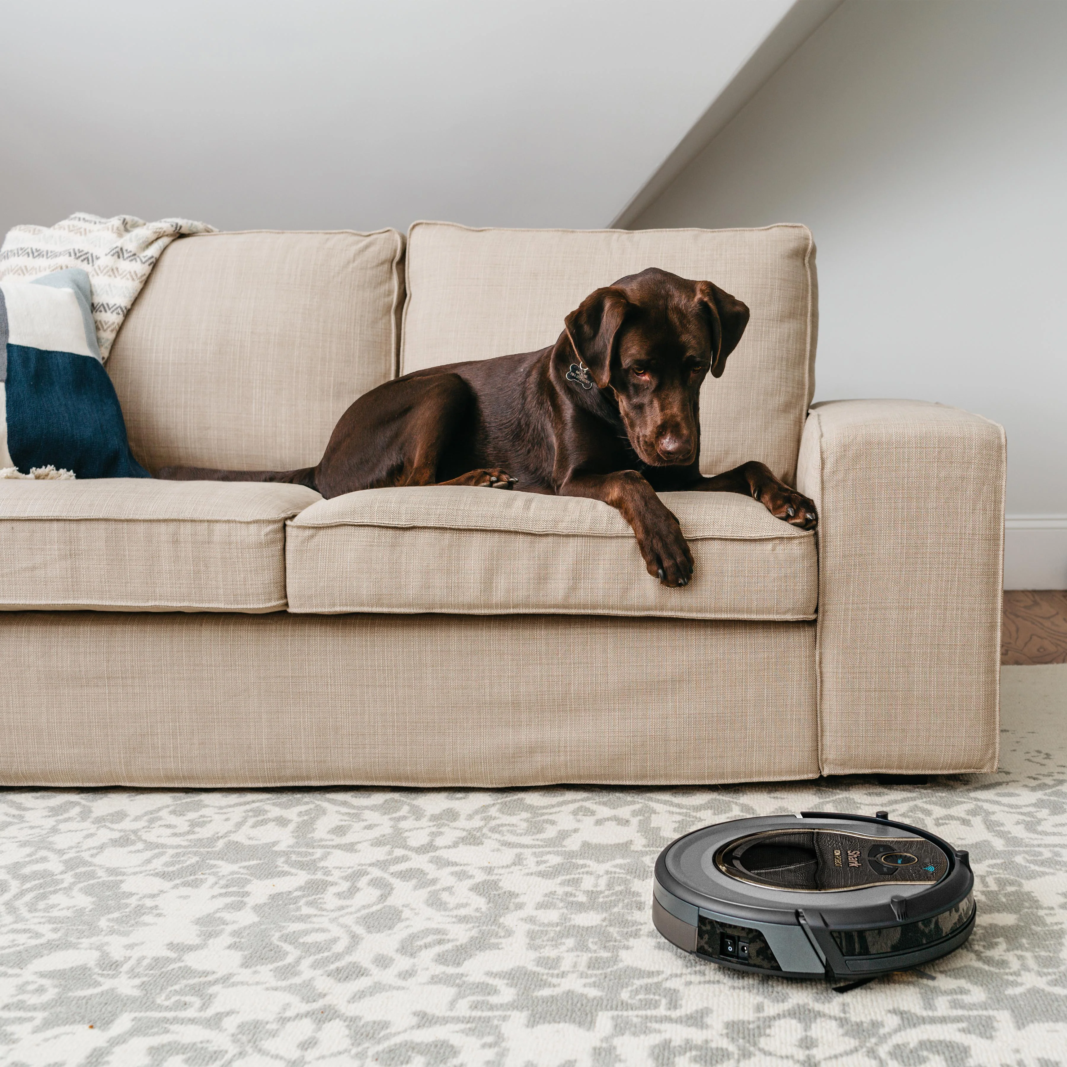 Shark ION Robot Vacuum WIFI-Connected, Voice Control Dual-Action Robotic Vacuum Carpet and Hard Floor Cleaner, Works with Alexa (RV750NR) - Image 3